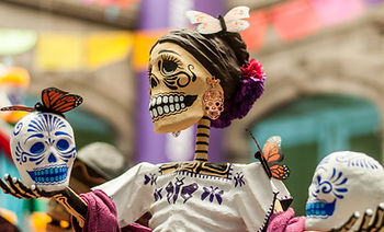 Skeleton