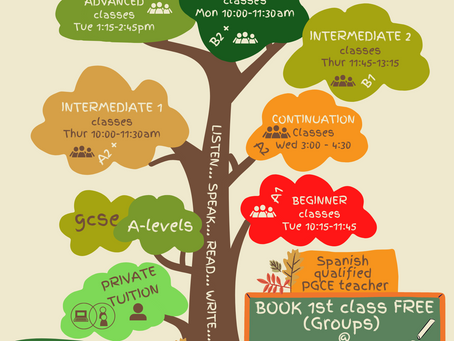 Learn Spanish in the New Year!! Try your 1st lesson FREE!!