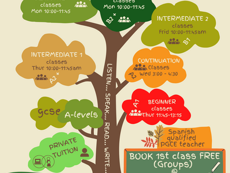 Spanish classes for the New Year 2023! book your first class FREE!!