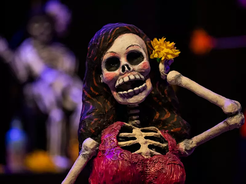 Skeleton